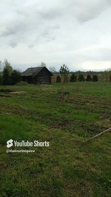 Весна в деревне..mp4