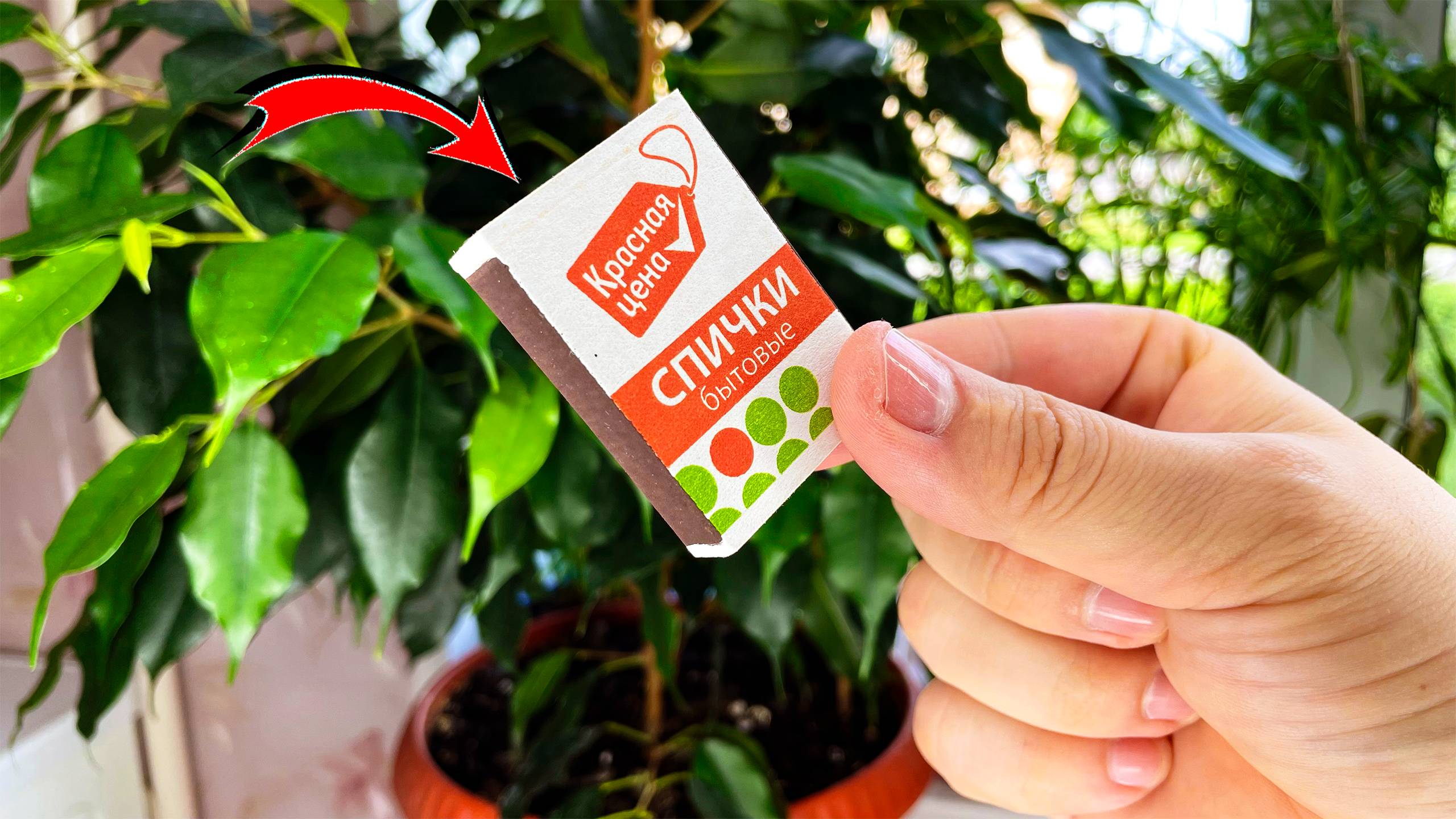 БЫТОВОЙ СОВЕТ по ИСПОЛЬЗОВАНИЮ СПИЧЕК!