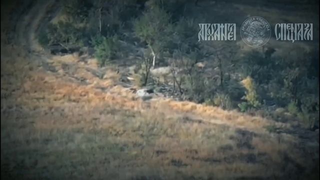 🤙 Тут зеваки мимо!   Чересчур любознательные представители армии оппонента выползли поглядеть на...