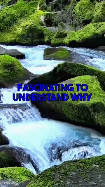 Choosing your Broomfield irrigation supply needs more than surface review. Get deep analysis of...
