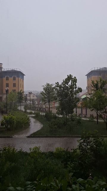 Дождь и молния сегодня в Подмосковье в воскресенье