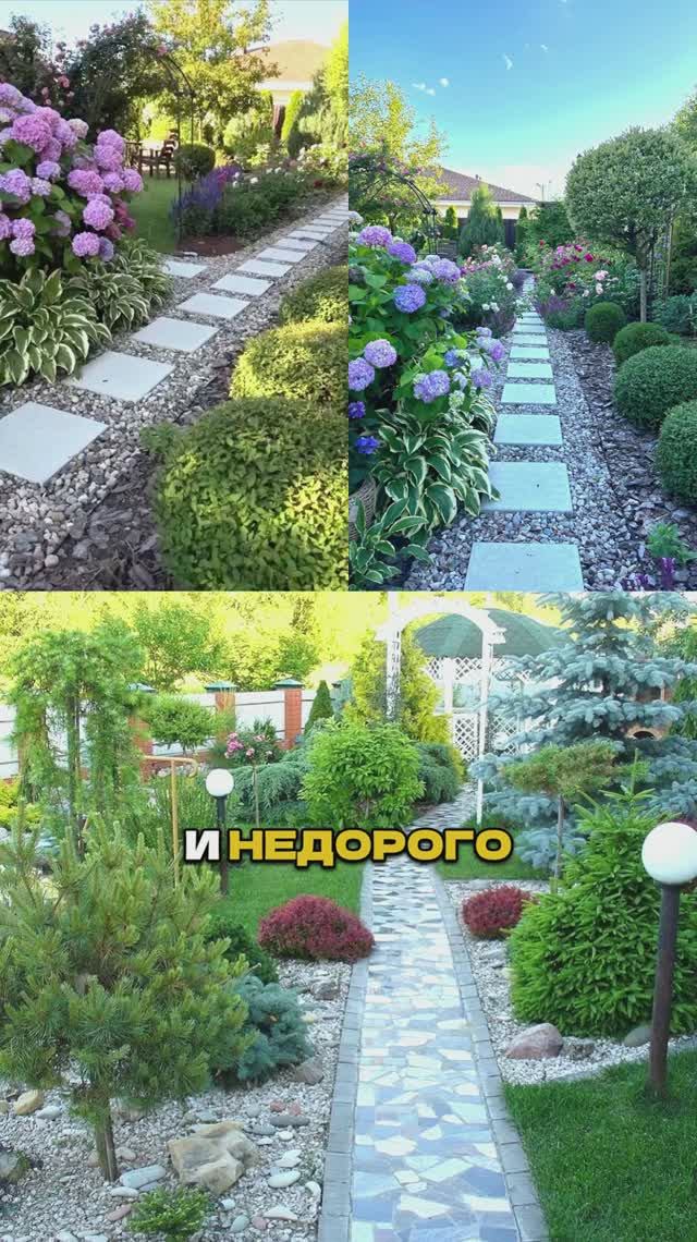 Посади Это Вдоль Дорожки ( и вот почему!)🎯🌿