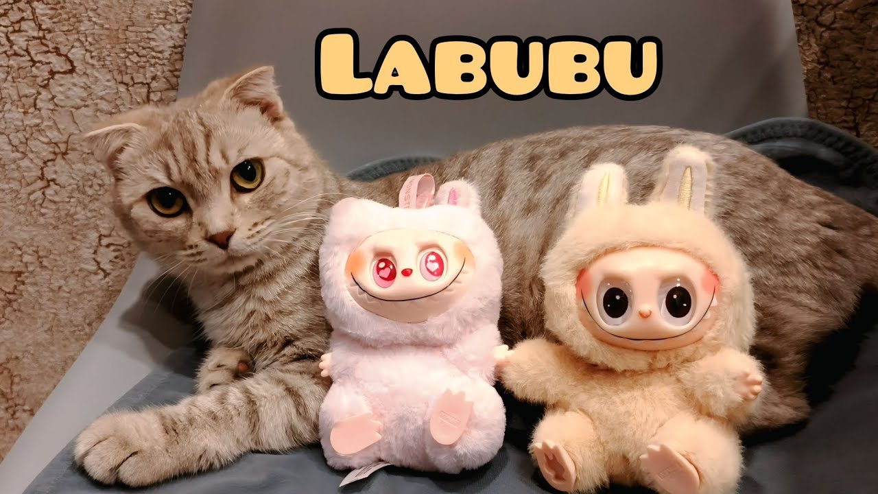 Labubu Лабубу теперь поёт и другие китайские покупки VLOG