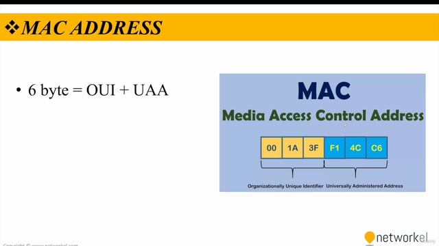 CCNP_Udemy_56_01. 1_1- Basic Switching Concepts