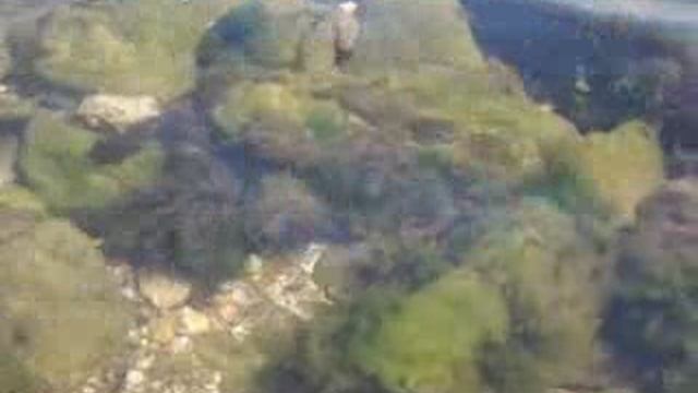 море, водная гладь