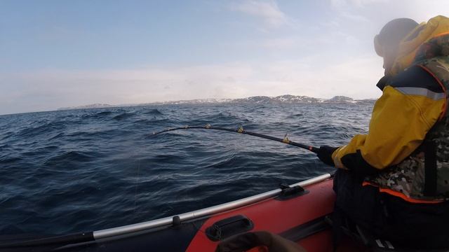 GOPR2876