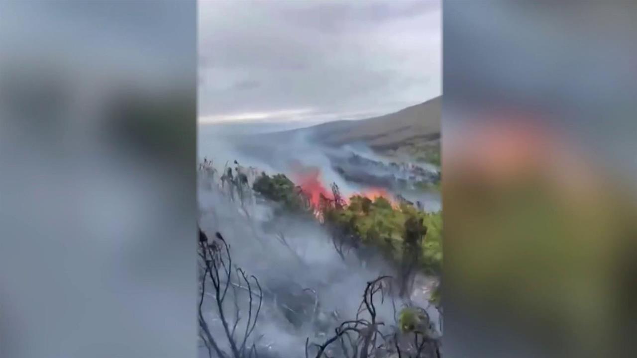 На Камчатке из-за пожаров введен особый режим