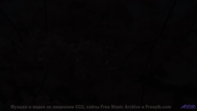 Музыка наполняет голову лёгкостью при каждом кадре - Вегбургер -- POVALISHIN DIVISION -- Запрещать З