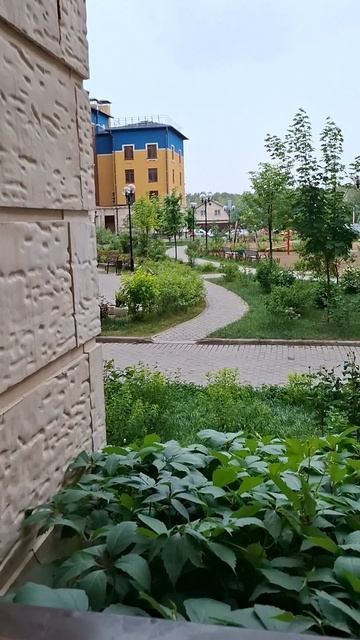 Гром гремит, кусты трясутся😁