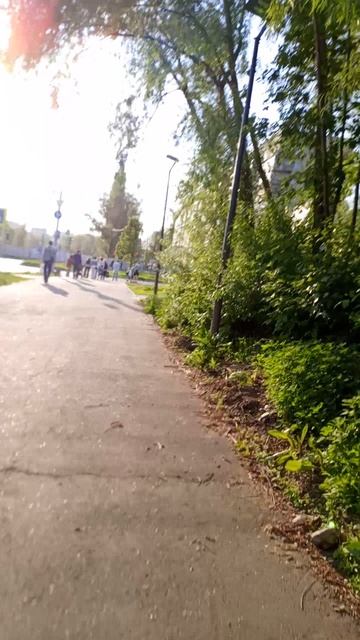до моки (4)