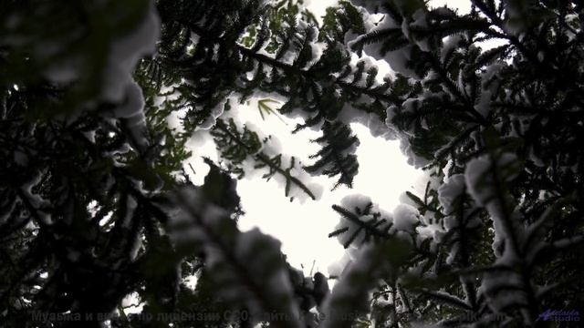 Вы никогда не видели природу такой - это шокирует! - summertime blues -- yumenoma -- Unnamed album