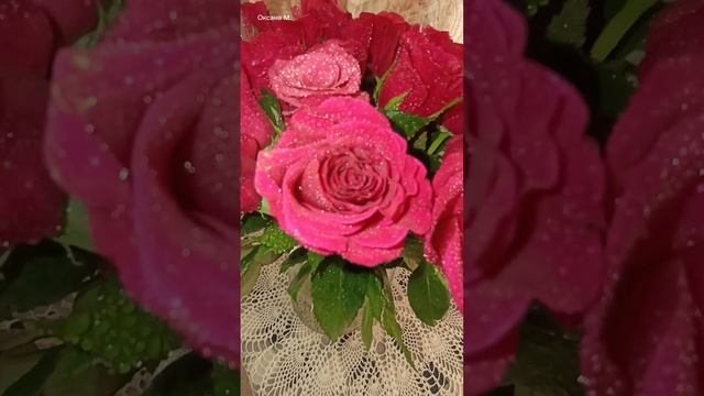 Цветы для. настроениея.mp4