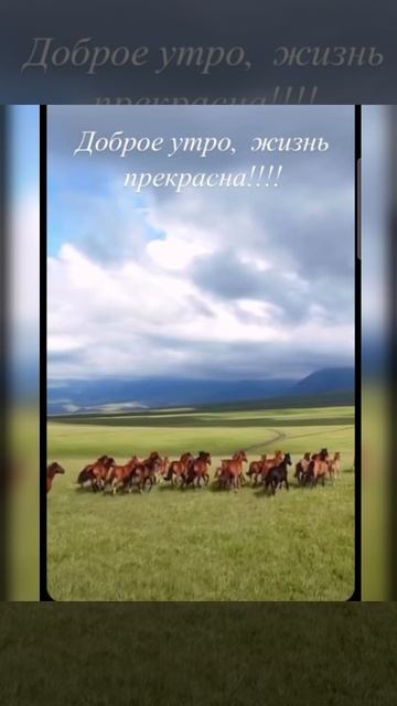 Доброе утро #доброеутро #благодарность