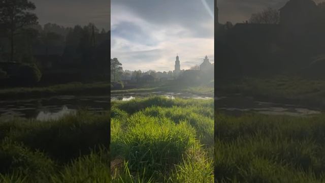 Лёгкая стать
