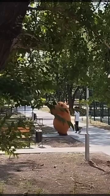 Просто капибара в парке Строитель ☺️