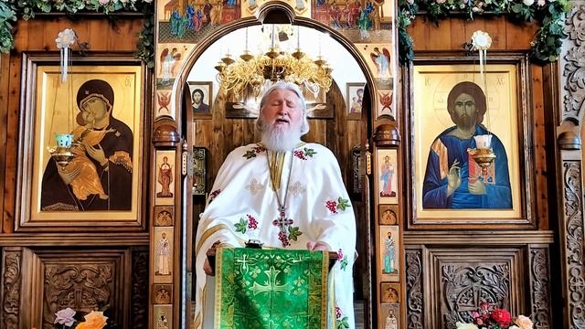 проповедь на День Святой Троицы (нед 8 по Пасхе)