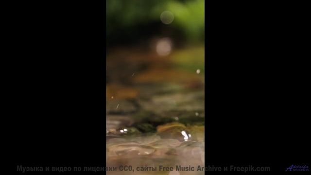Эта мелодия - чистый адреналин в ваших ушах! - Asalom Shalom -- Ayla Nereo -- Beheld