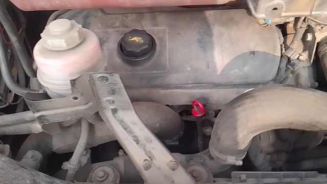 1000017355.mp4