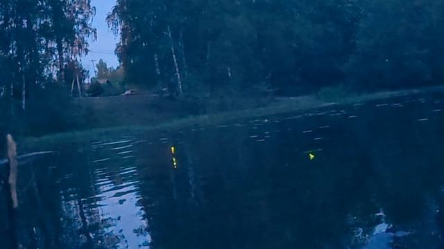 ночная рыбалка на линя