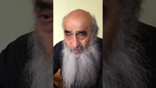 О.Илиодор с пожеланиями православным в день Святой Троицы