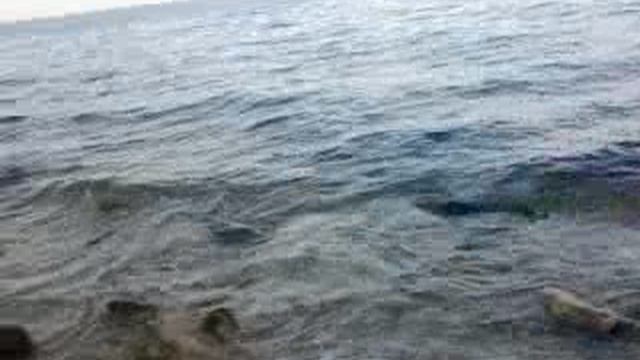 море, водная гладь