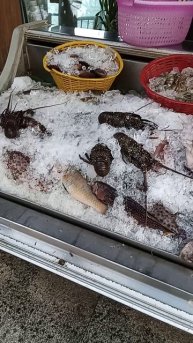 Рестораны Дахаба