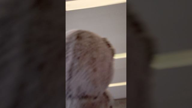 1000027895.mp4