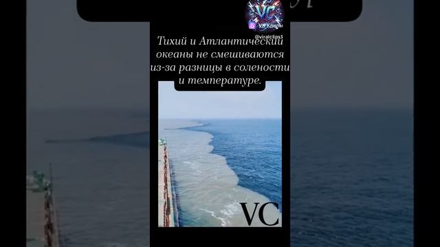 Тихий и Атлантический океан