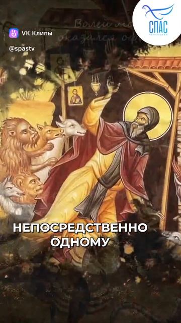 Откуда взялся мат?