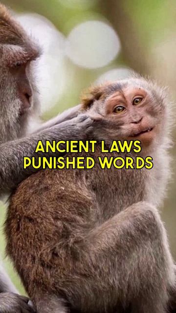 Free speech and accountable talk: Societies balanced expression for community. Ancient laws...