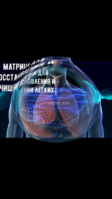 🔹 Оригинальная звуковая матрица П.П. Гаряева для поддержки и очищения лёгких.