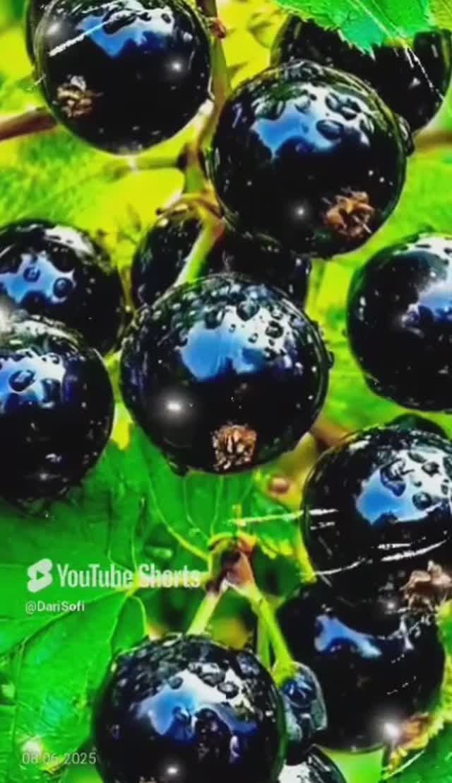 VID_20250608193258