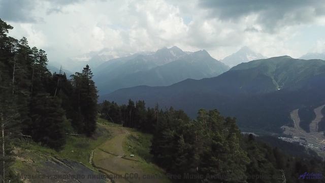 Музыка заставляет душу летать при каждом кадре - Blossoming -- Podington Bear -- Meet Podington Bear