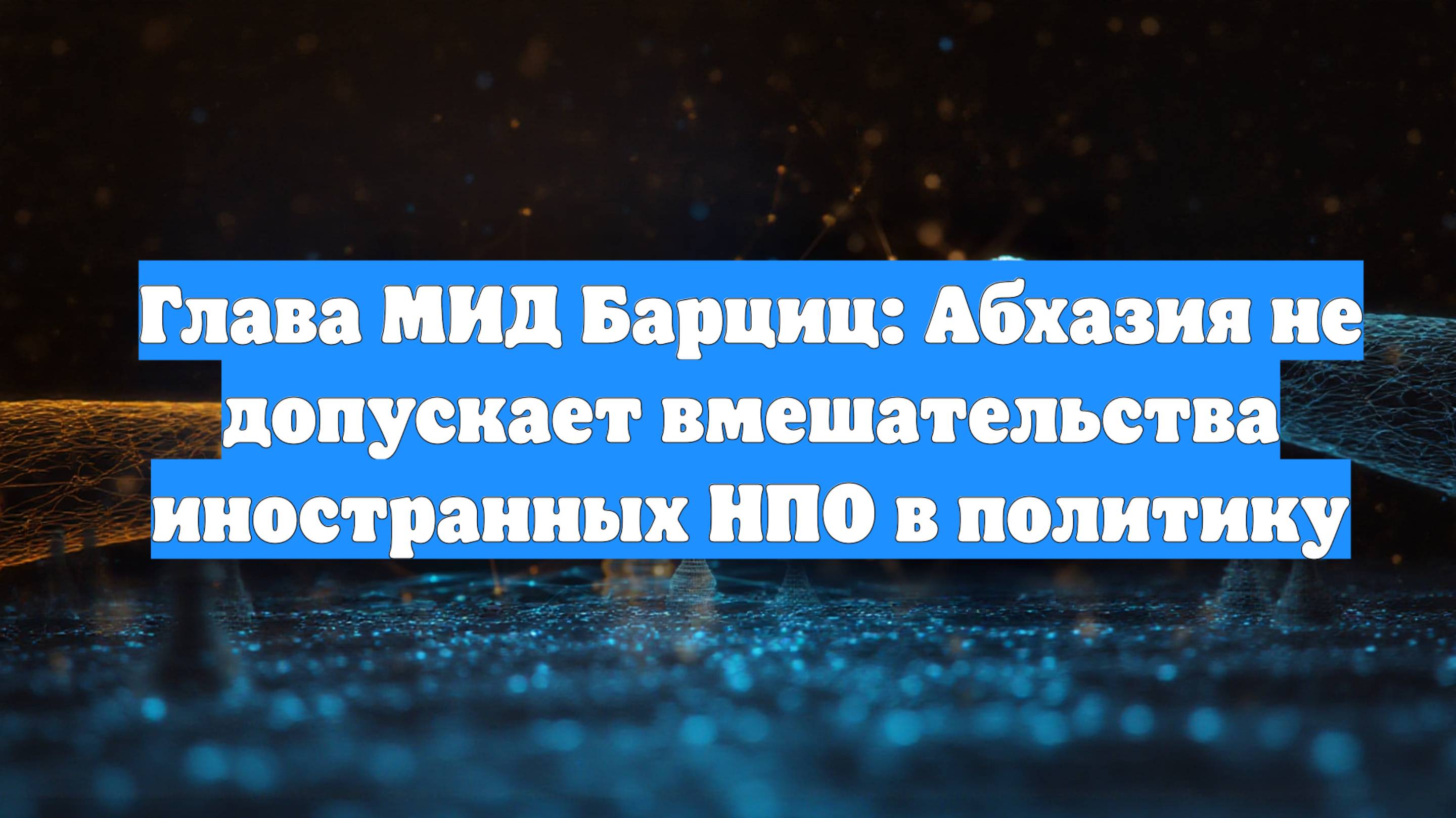 Глава МИД Барциц: Абхазия не допускает вмешательства иностранных НПО в политику
