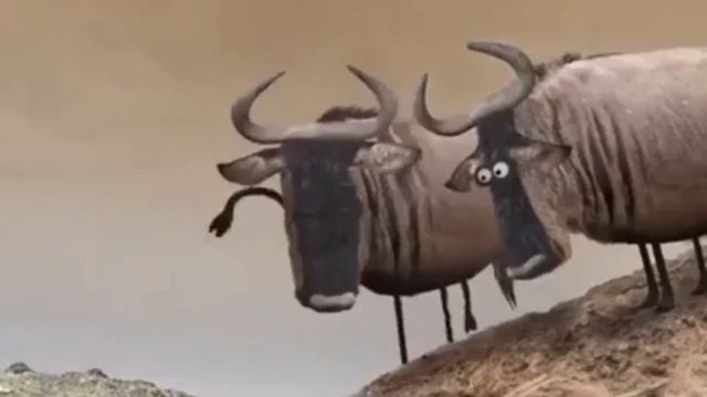 Не пытайся убедить идиота 👈🙃