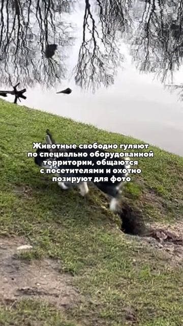 Необычная локация в Калининграде