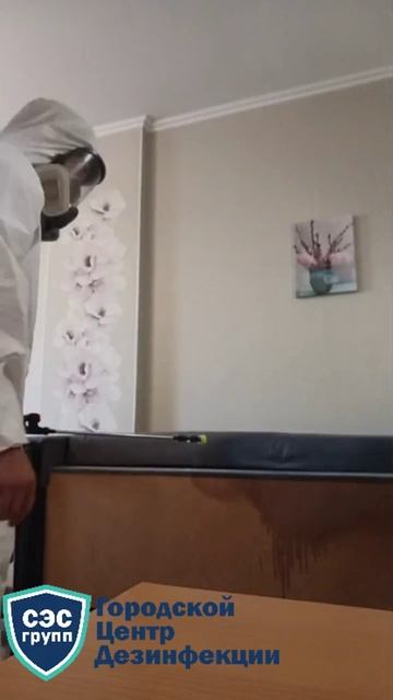 Дезинсекция от клопов методом орошения.