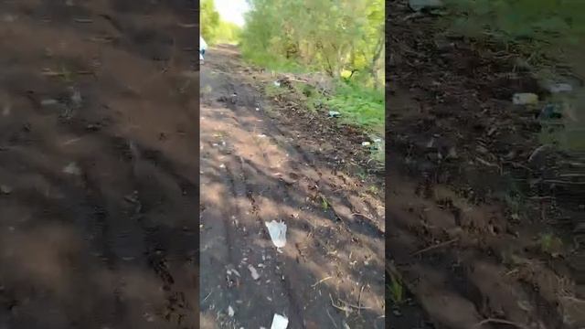 А когда эту свалку рекультивируют?