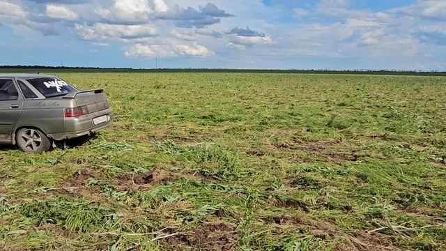 Подъём целинных и залежных земель! То, что и за год не могут осуществить сделано за 5.5 дней.