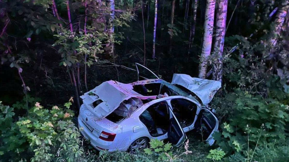 Ребенок и взрослый погибли при столкновении авто с лосем в Башкирии