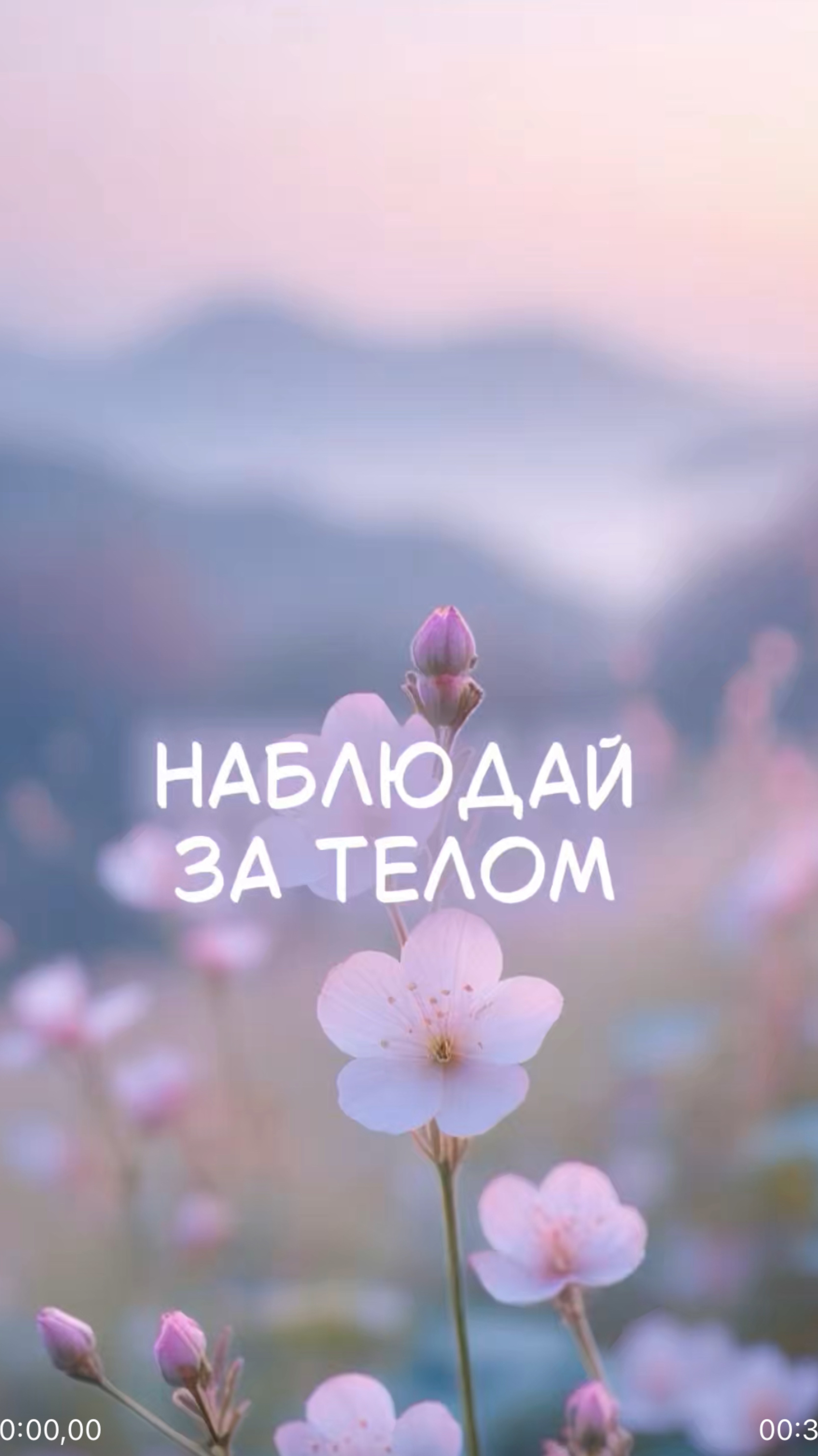 Наблюдай за телом #семинар #Saiprana #любовь #пробуждение #просветление #истина