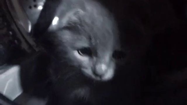 すべてがうまくいくでしょう。
