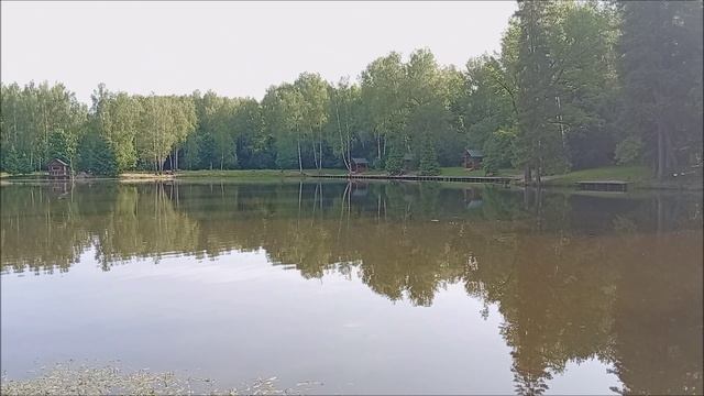 Краткий обзор с Нижнего пруда. Клёвое место Лосиный остров.