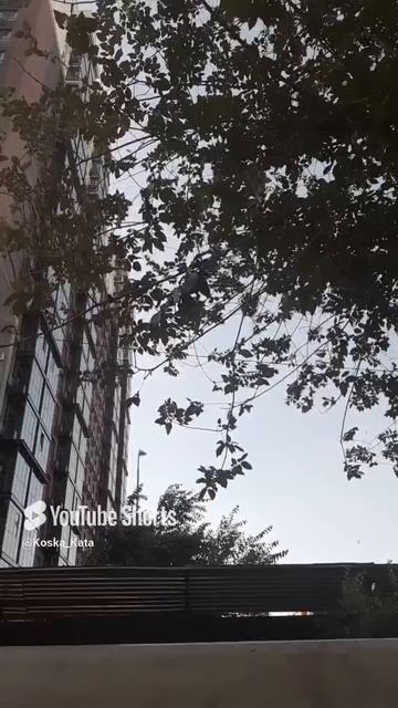 лучше дулю с маком