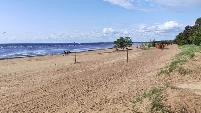 Финский залив, июнь 2025 год