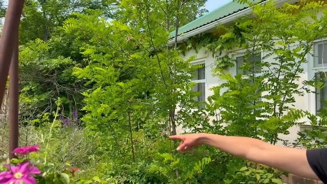ХУТОРСКИЕ БУДНИ. Съездили на Ставрополье.