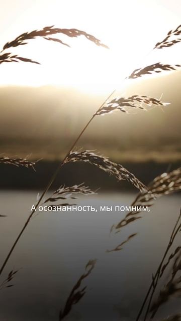 Отличный способ вернуться к себе и обрести спокойствие за пару минут