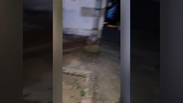 Счастье.mp4