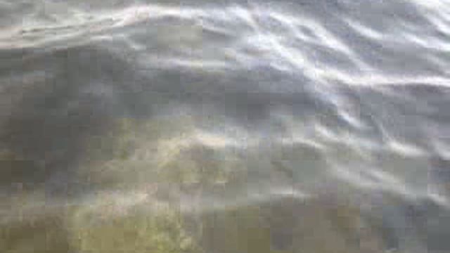 море, водная гладь