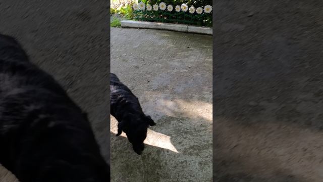 1000003550.mp4